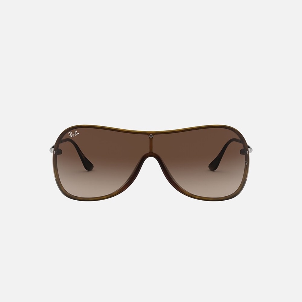 Ray-Ban Gradient Brown Sunglasses